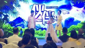 伙伴在线观看,共度美好时光的精彩瞬间回顾