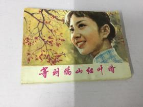 红叶电影在线观看  第2张