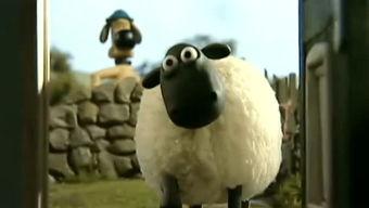 小羊爆料最新视频大全,最新视频大全精彩瞬间大盘点  第2张